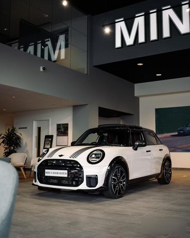 迷你汽车(迷你汽车油车)