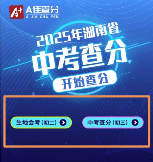 中考查分数查询入口（2025中考成绩查询入口）