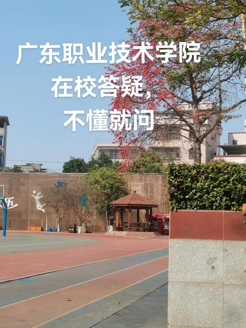 公办职业技术学校有哪些（肇庆公办职业技术学校有哪些）