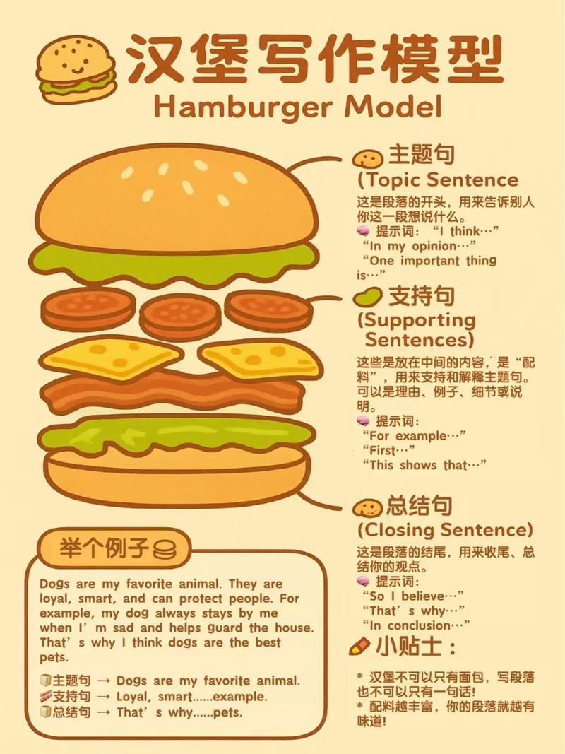 汉堡包英语怎么写（汉堡包英语咋说）